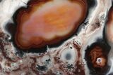 Polished Colorful Agate - Mexico #194134-2